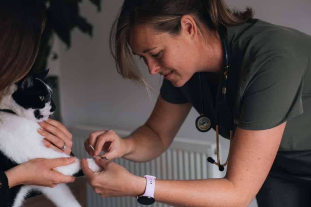 Nail clipping service example